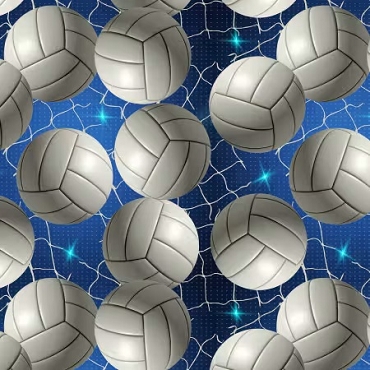 ON REORDER: David Textiles Volleyball Sparkle