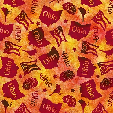 2026 AOSH Fabric - Tossed Ohio - Multi Yellow Red