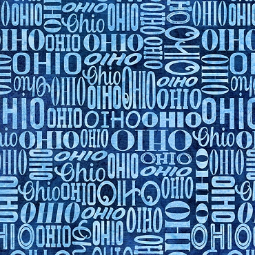 2026 AOSH Fabric - Ohio Words - Blue Cornflower
