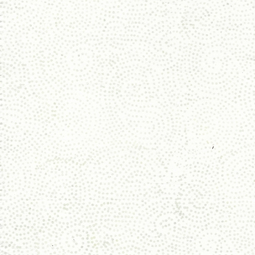 2026 AOSH Fabric - Blenders:Neutrals - Sprinkles
