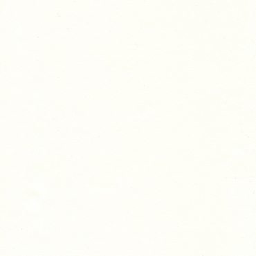 2026 AOSH Fabric - Bodacious Blacks - White
