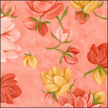 MODA Kindred - Petaluma - Coral