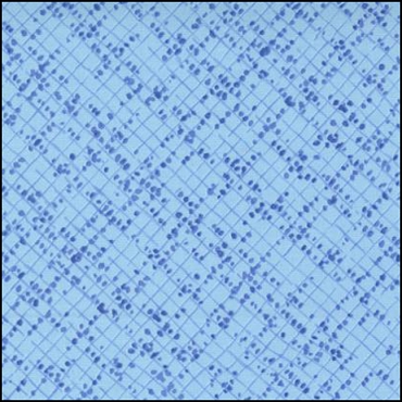 MODA Wild Blossom - Graph Paper Mist